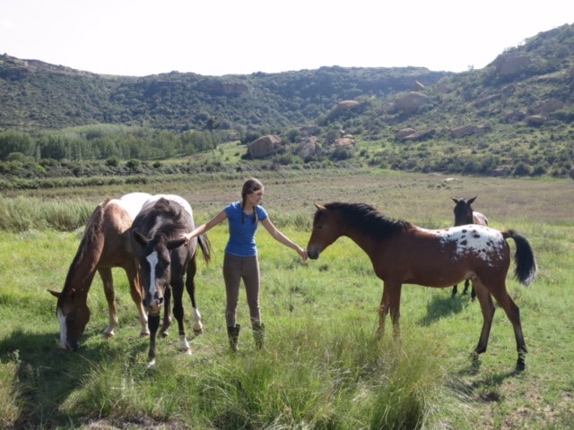 Magic, Landslide and Whistlestop